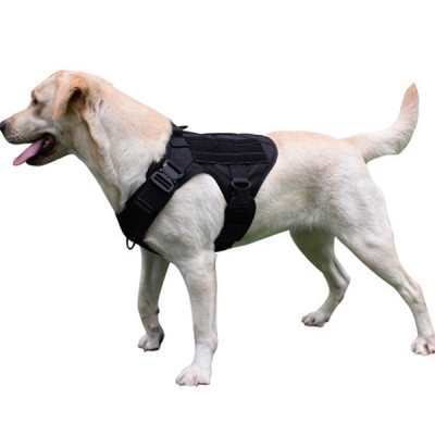 Hunting Dog Vest