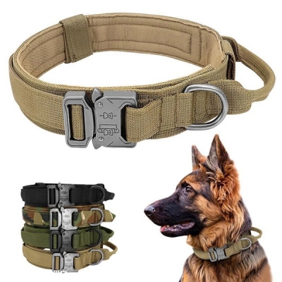 Dog Collars