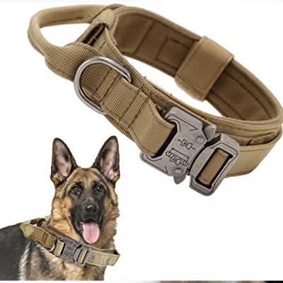 Dog Collars