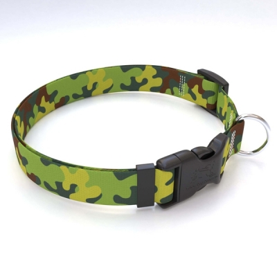 Dog Collars