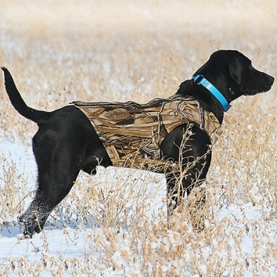 Hunting Dog Vest