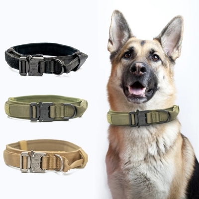 Dog Collars