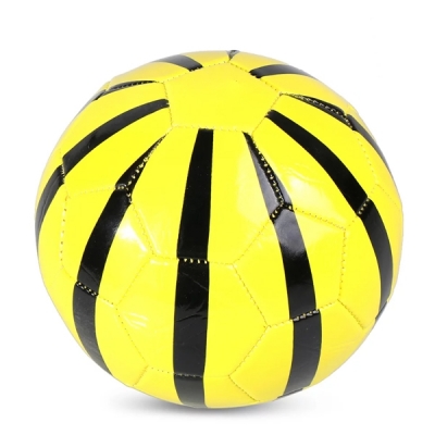 Training Soccer Ball