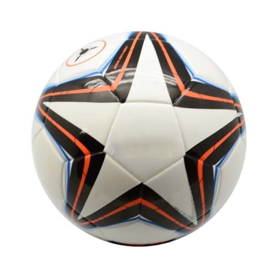 Match Performance Indoor Ball