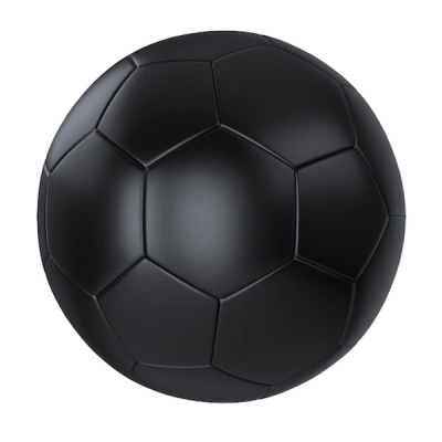 Match Performance Indoor Ball