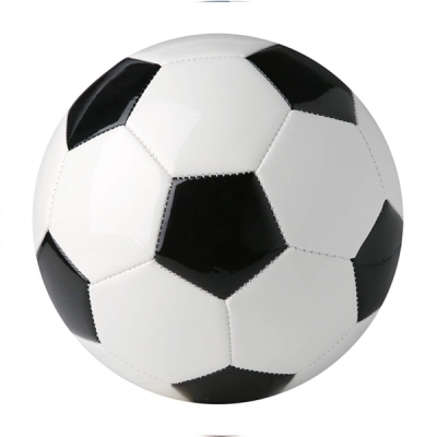 Match Performance Indoor Ball