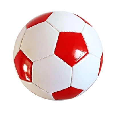 Match Performance Indoor Ball