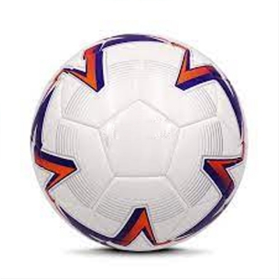 Match Performance Indoor Ball